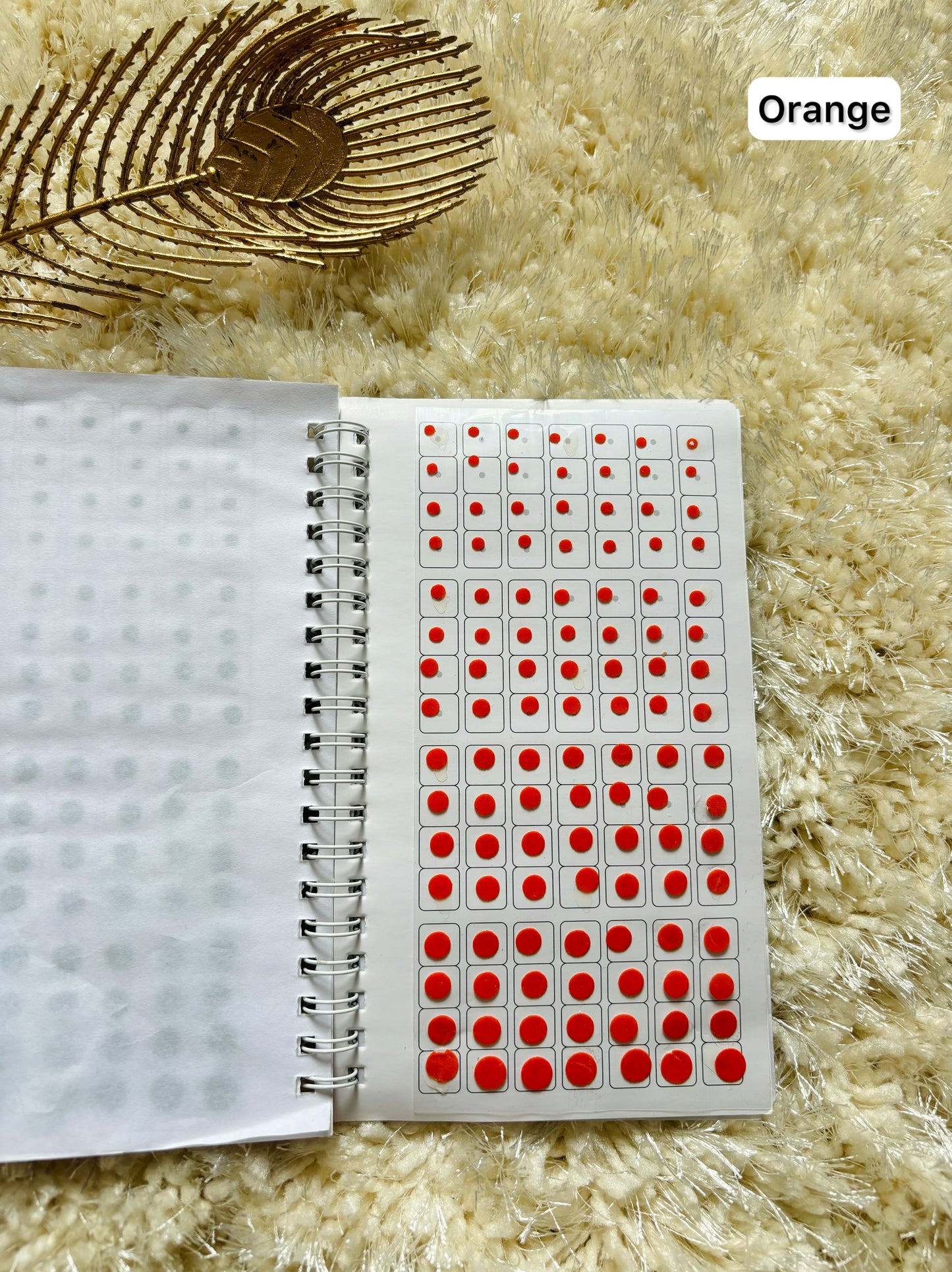 Family bindi book🧑‍🧑‍🧒‍🧒