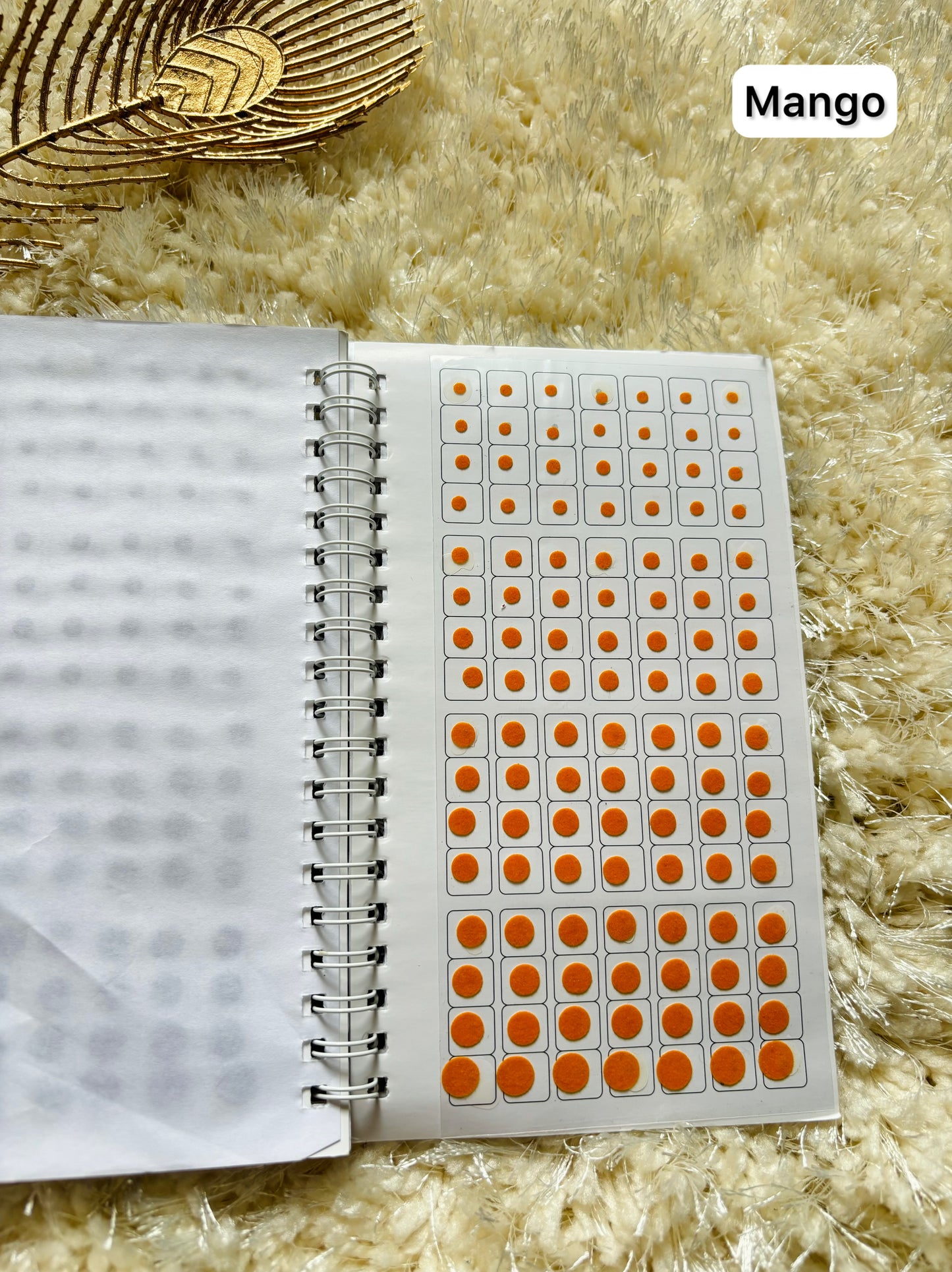 Family bindi book🧑‍🧑‍🧒‍🧒